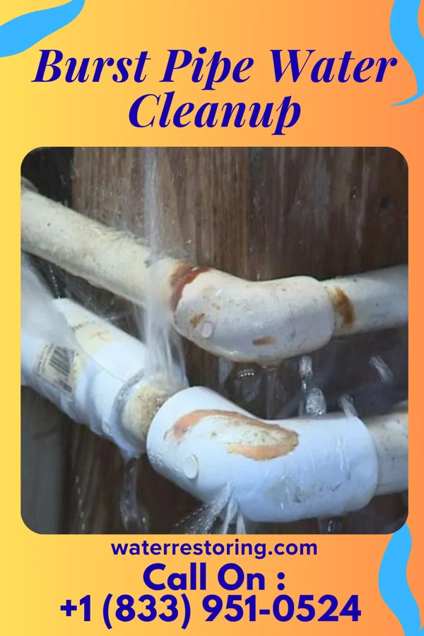 Burst Pipe Water Cleanup in Candlewood Isle, CT