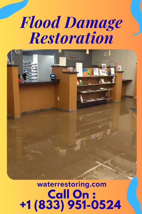Flood Damage Restoration in Candlewood Isle, CT